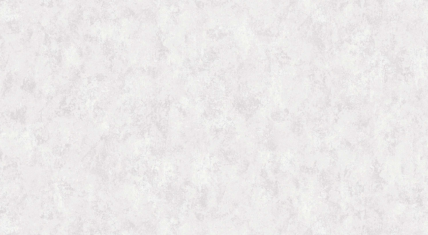 Wallpaper: Natural - Natural Paint  (88429-1)